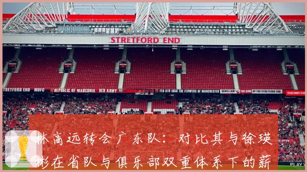 林高远转会广东队：对比其与徐瑛彬在省队与俱乐部双重体系下的薪资结构变化