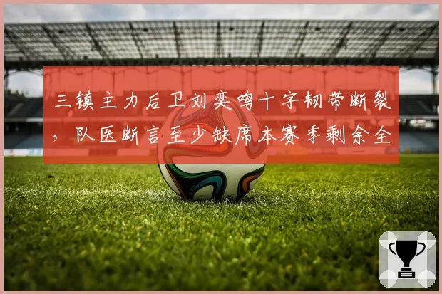 三镇主力后卫刘奕鸣十字韧带断裂，队医断言至少缺席本赛季剩余全部