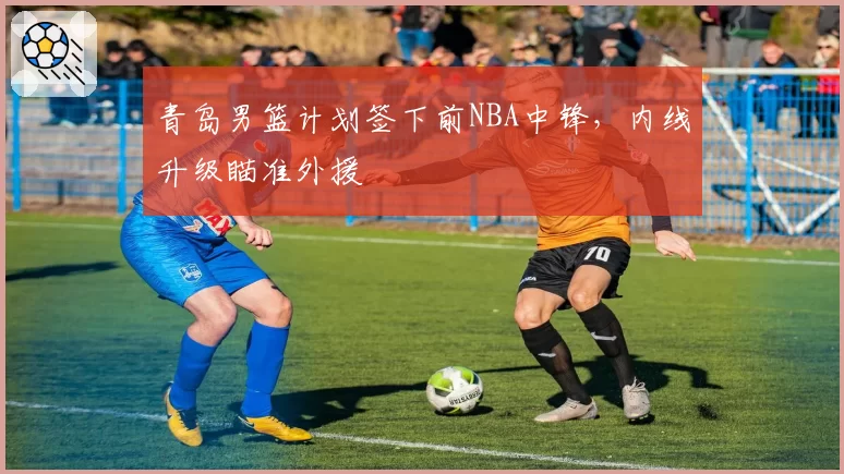 青岛男篮计划签下前NBA中锋,内线升级瞄准外援