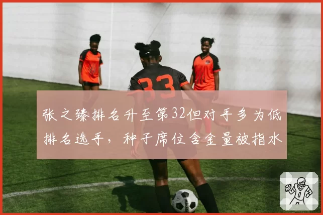 张之臻排名升至第32但对手多为低排名选手,种子席位含金量被指水分大